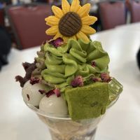 Himawari ico