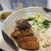 Go Sushi ico