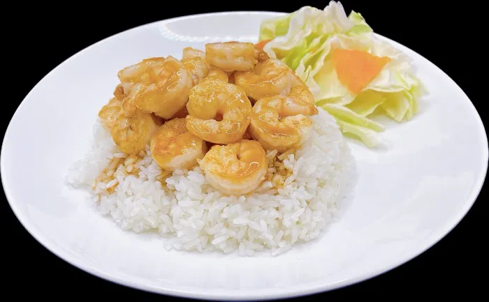 Teriyaki Bowl Picture 8