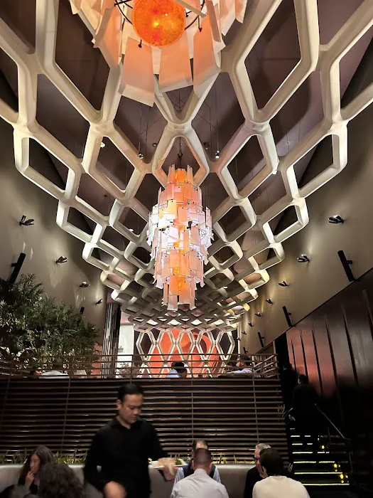 Koi New York Picture 3