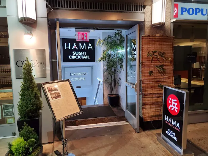 HAMA Picture 9
