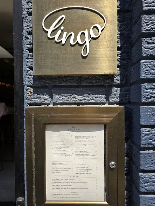 Lingo Picture 6