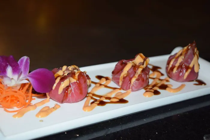 Kasai Kosher Hibachi Picture 2