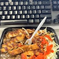 Go Go Curry Express Queens ico