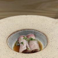 Sushi Masu ico