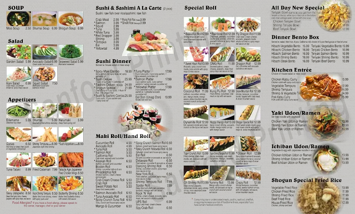 Shogun Japan Japanese restaurant Picture 6