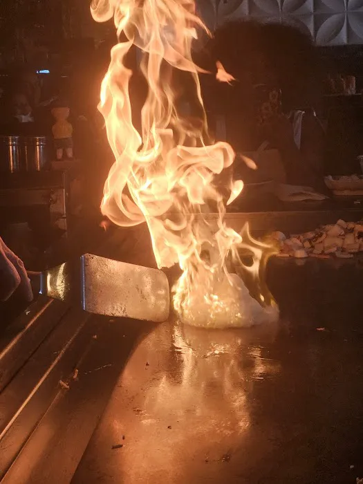 Tokyo Hibachi Steakhouse & Sushi Picture 4