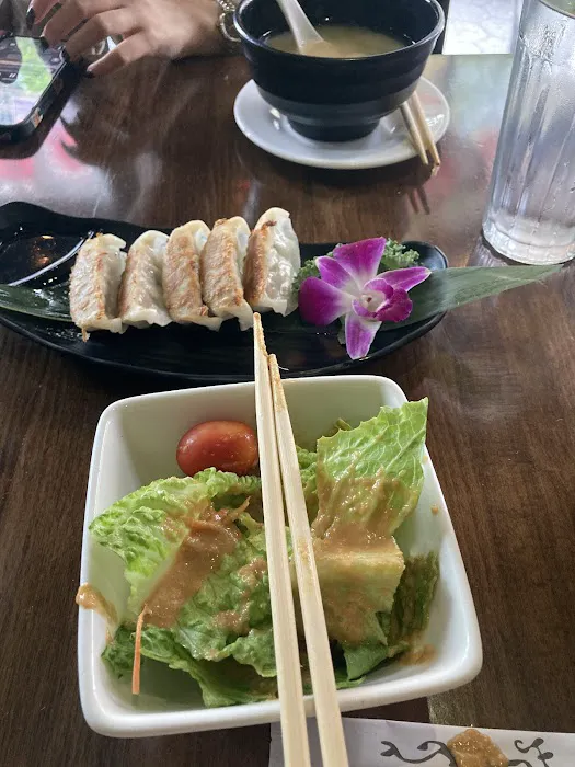 Fuji East Japanese Bistro Picture 6