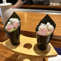 Ocean Code Handroll Bar ico