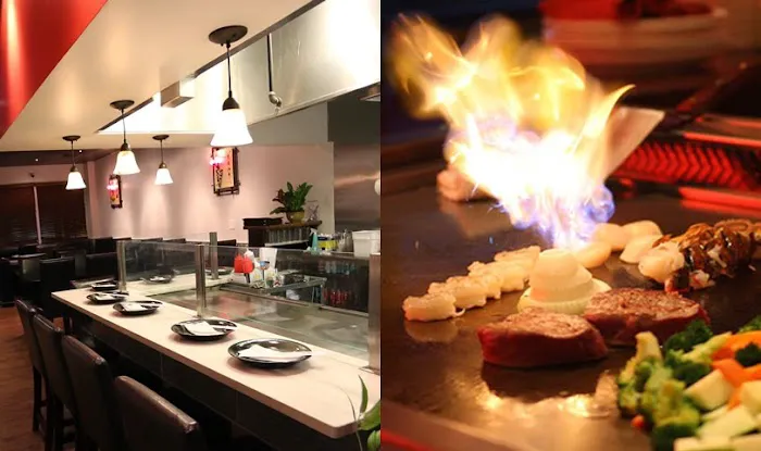 SUKI: Japanese Hibachi, Ramen Noodles, and Tea House Picture 3
