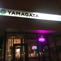 Yamagata ico