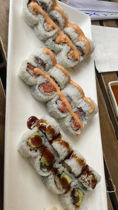 Hudson Sushi Picture 6