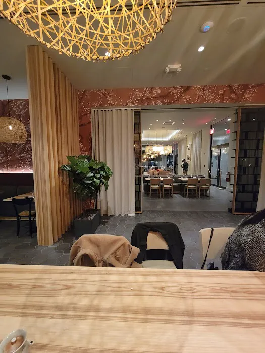 Blu Sushi Bar Picture 4