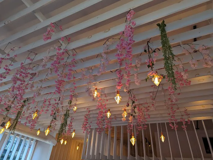 Saku Hoboken Picture 6