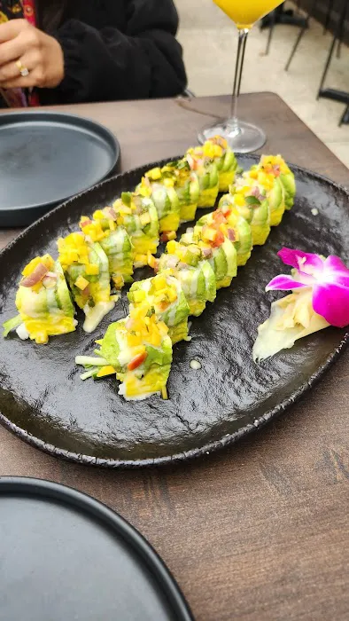 Saku Hoboken Picture 5