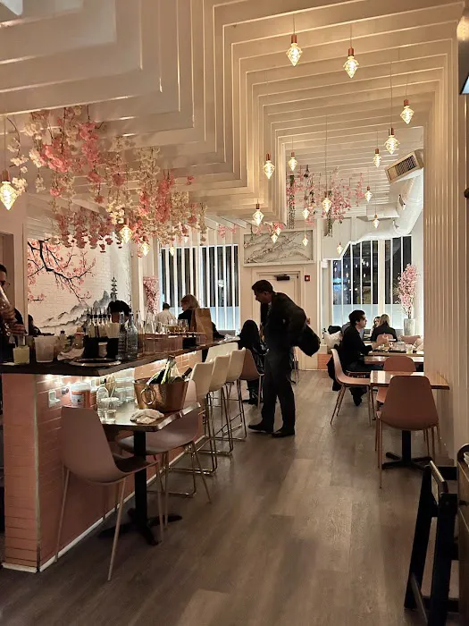 Saku Hoboken Picture 4