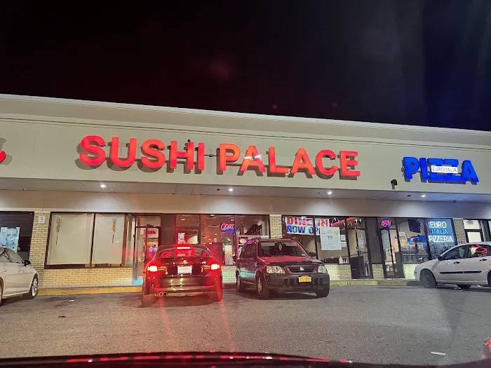 Sushi Palace Picture 10