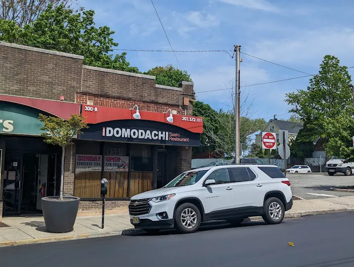 Domodachi Sushi Picture 4