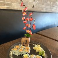 Oishi Sushi 223 boulevard ico