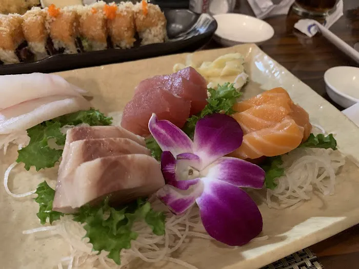 Oishi Sushi 223 boulevard Picture 8