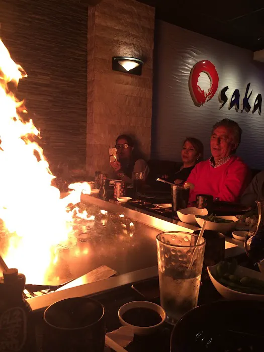 Osaka Japanese Restaurant Picture 4