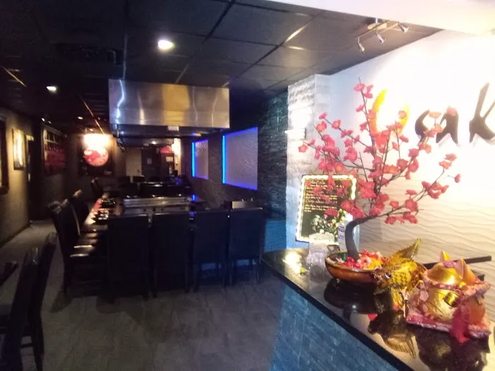 Osaka Japanese Restaurant Picture 7