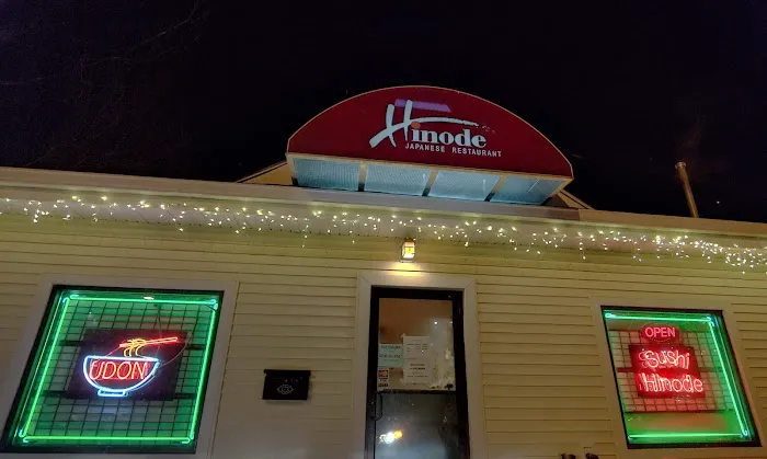 Hinode Japanese Restaurant Picture 1