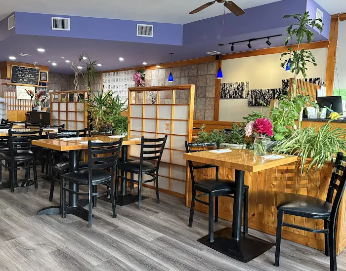 Matsu Sushi & Grill Picture 4
