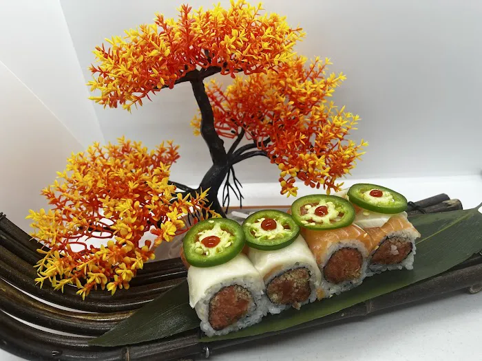 Ho-Ho-Kus Sushi Cafe Picture 6