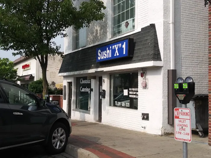 Sushi X Picture 2