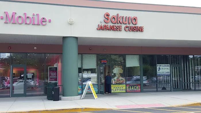 Sakura Picture 1