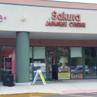 Sakura ico