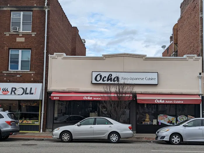 Ocha Asian-Japanese Cuisine Picture 1