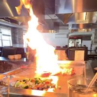 Toyo Hibachi & Asian Fusion ico