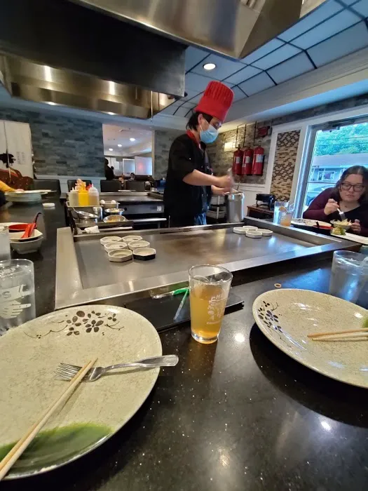 Toyo Hibachi & Asian Fusion Picture 8