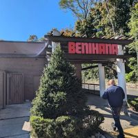 Benihana ico