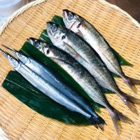 Otaru Sushi Bar ico