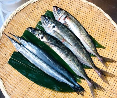 Otaru Sushi Bar