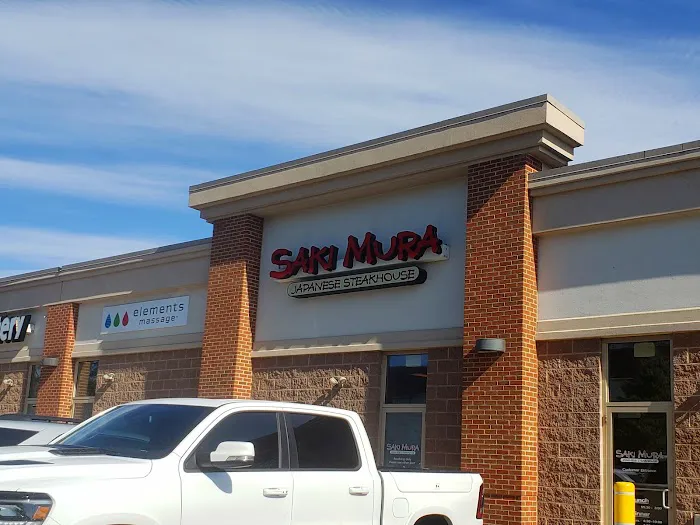 Sakimura Meriden Picture 1