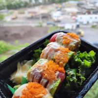 Avocado Sushi ico