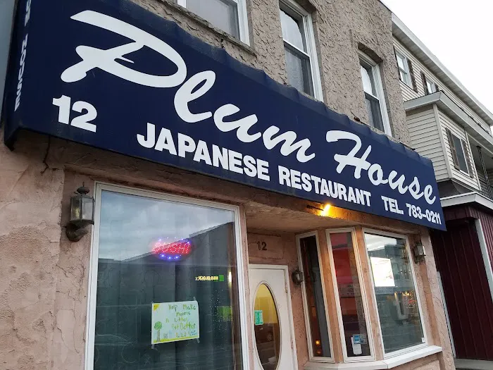 Plum House Japanese Restaurant Picture 1