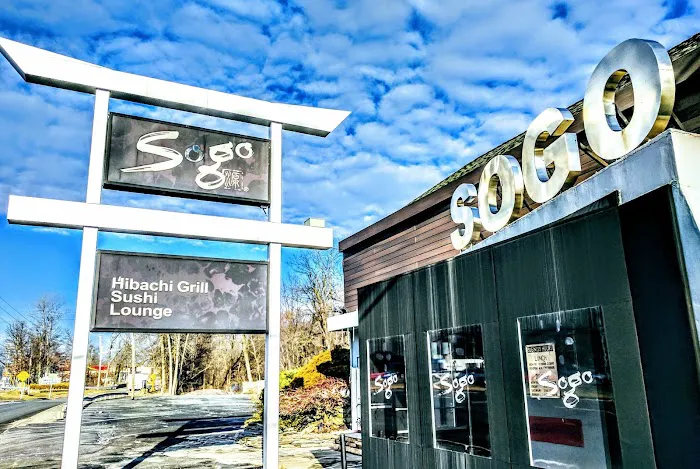 Sogo Hibachi Grill Picture 3