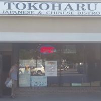 Tokoharu ico