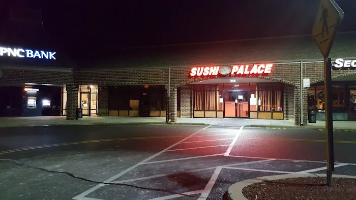 Sushi Palace Picture 1