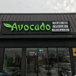 Avocado Sushi