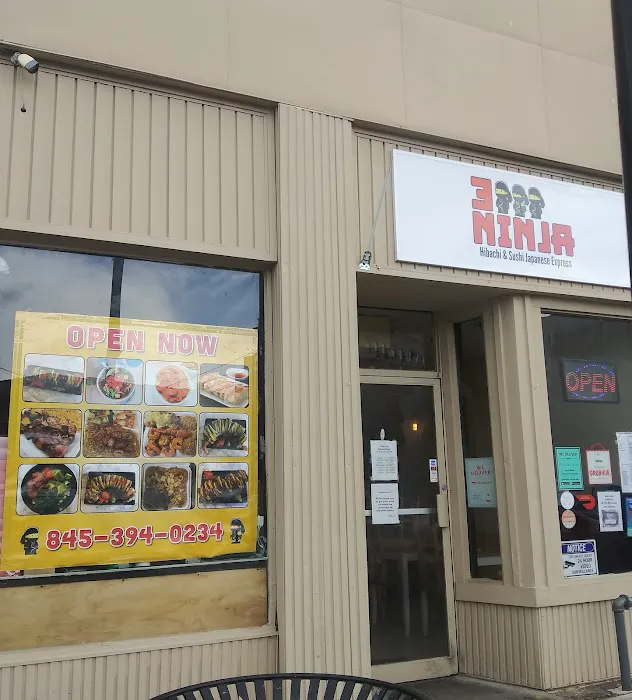 3 Ninja Express Picture 10