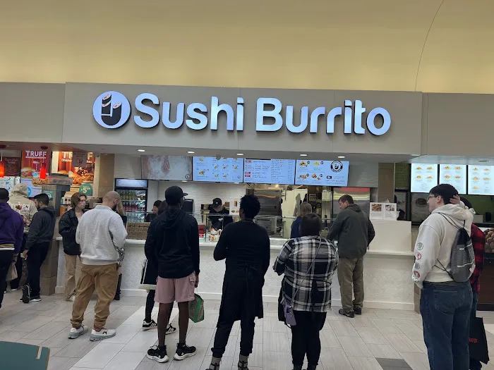 ij sushi burrito Picture 10