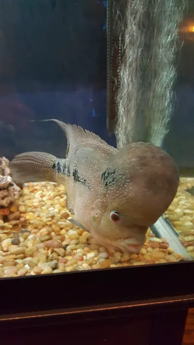 Kama Sushi Picture 6