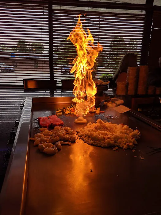 Sakura Japanese Steak House Picture 10