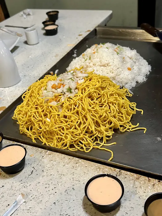 Shogun Picture 2